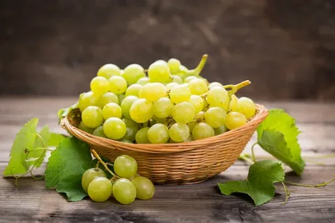 تصویر 1 از فروش کنسانتره انگور + قیمت خرید به صرفه